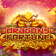 Wild Dragon's Fortune