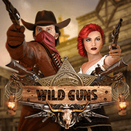 Wild Guns