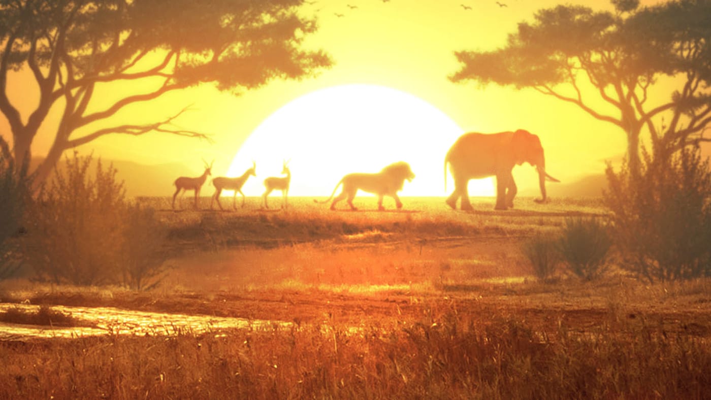Safari Wilds
