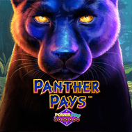 Panther Pays Power Play JP